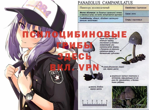 мефедрон VHQ Белокуриха