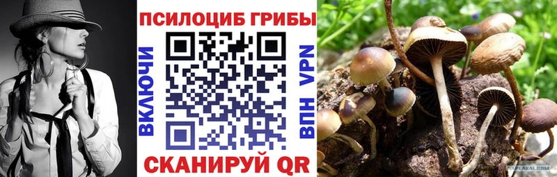 блэк спрут ONION  Волгореченск  Галлюциногенные грибы Magic Shrooms 