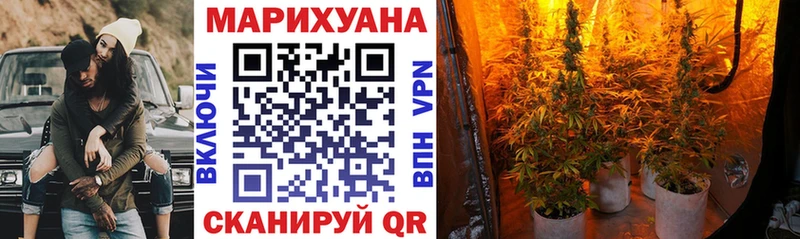 kraken онион  Волгореченск  Бошки Шишки AK-47 